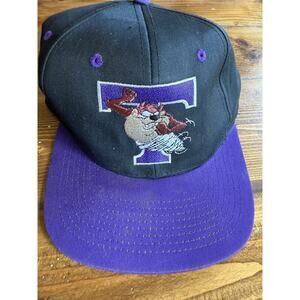 Vintage 1993 Taz Black Purple Snapback Hat Tasmanian Devil Looney Tunes Snapback